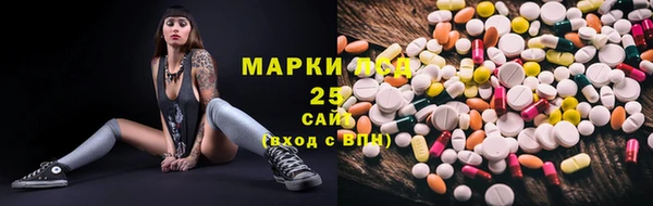 гашик Алексин