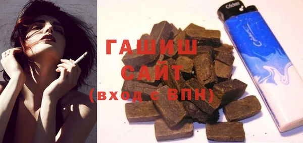 гашик Алексин