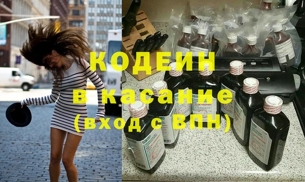 гашик Алексин