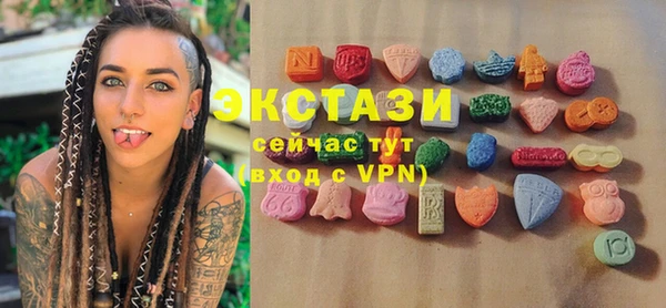 гашик Алексин