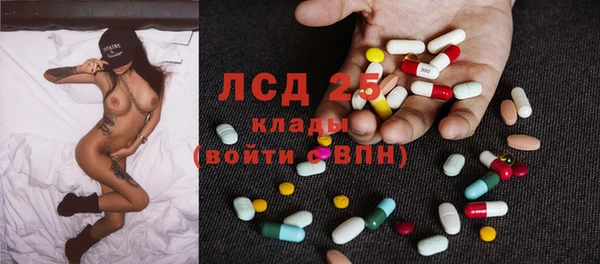 гашик Алексин