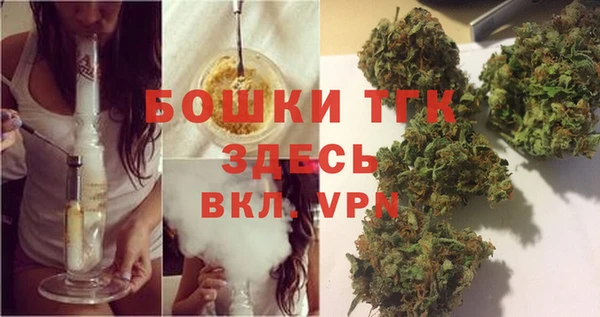 гашик Алексин