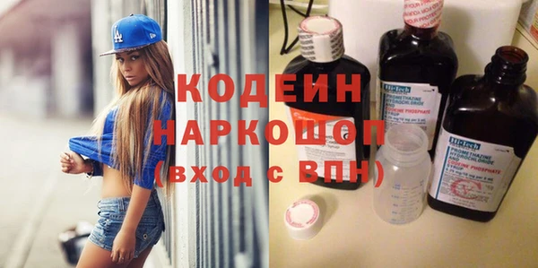 гашик Алексин